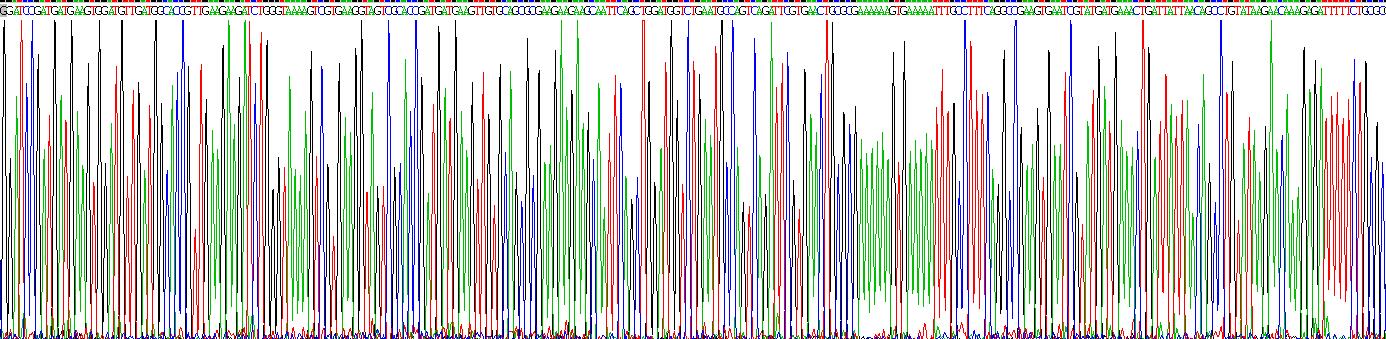 Gene Sequencing (extract)