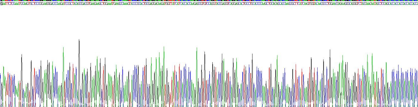 Gene Sequencing (extract)