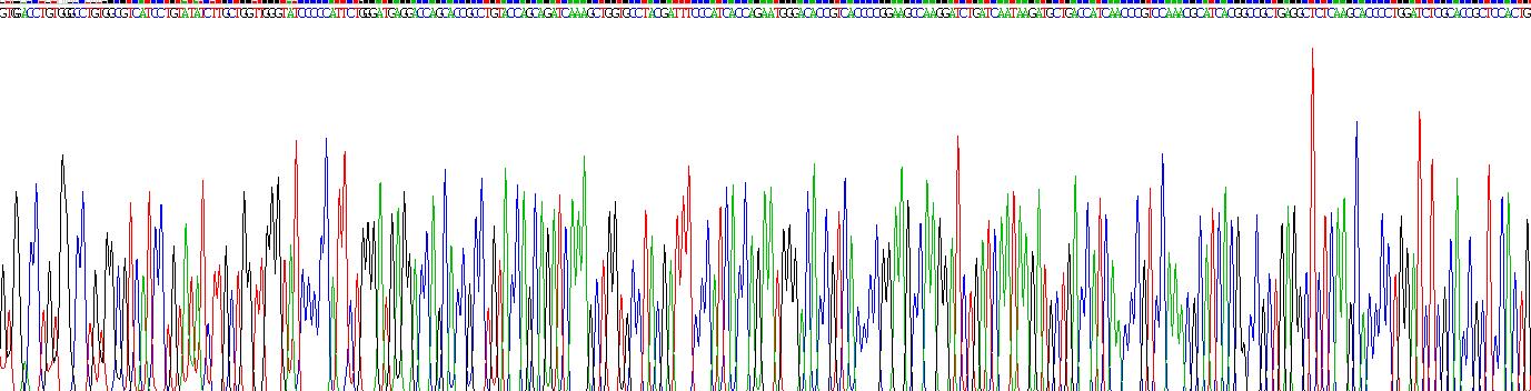 Gene Sequencing (extract)