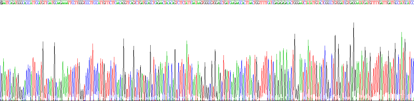Gene Sequencing (extract)