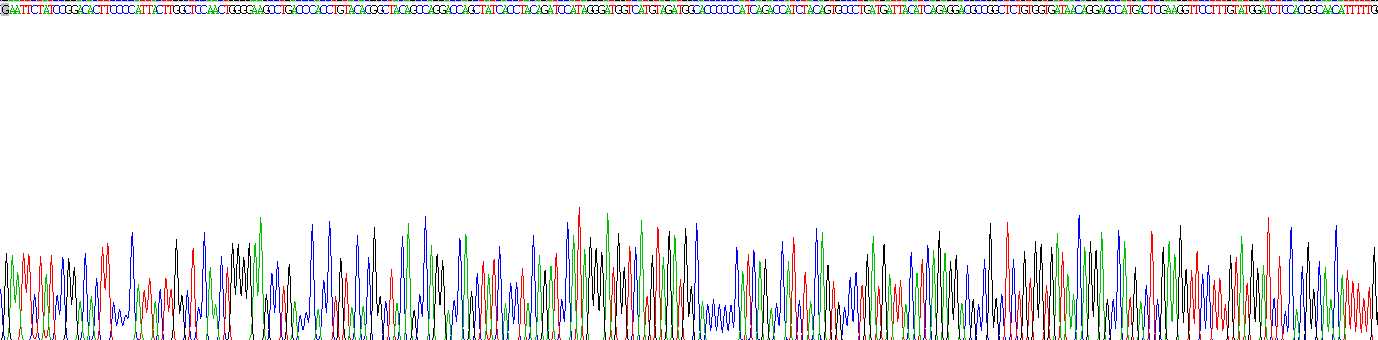 Gene Sequencing (extract)