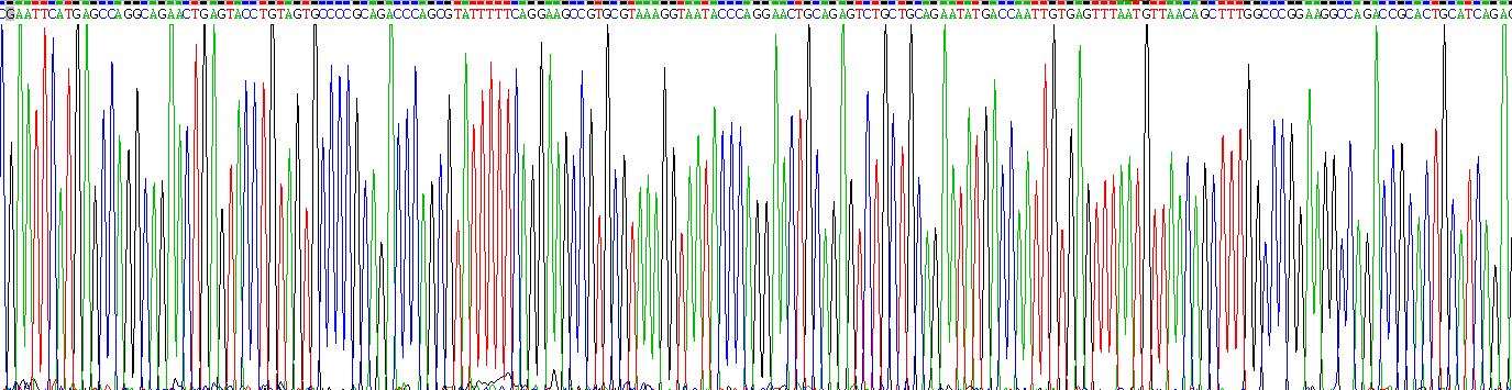 Gene Sequencing (extract)