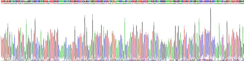 Gene Sequencing (extract)