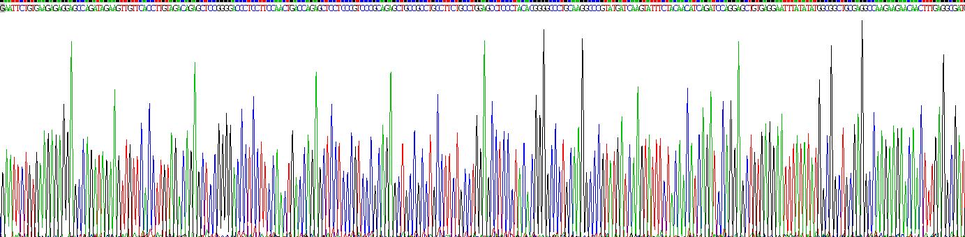 Gene Sequencing (extract)