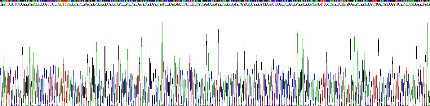 Gene Sequencing (extract)