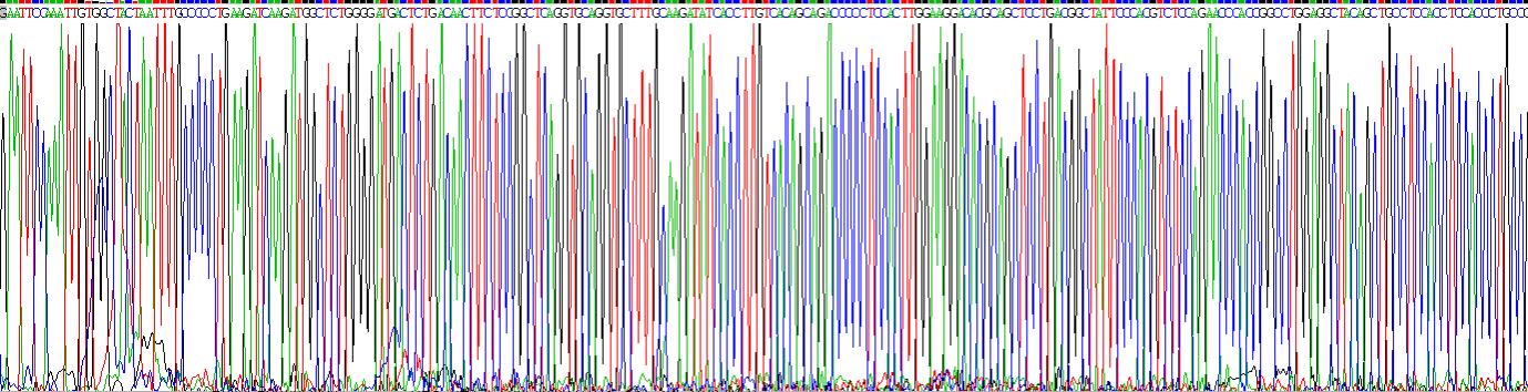 Gene Sequencing (extract)