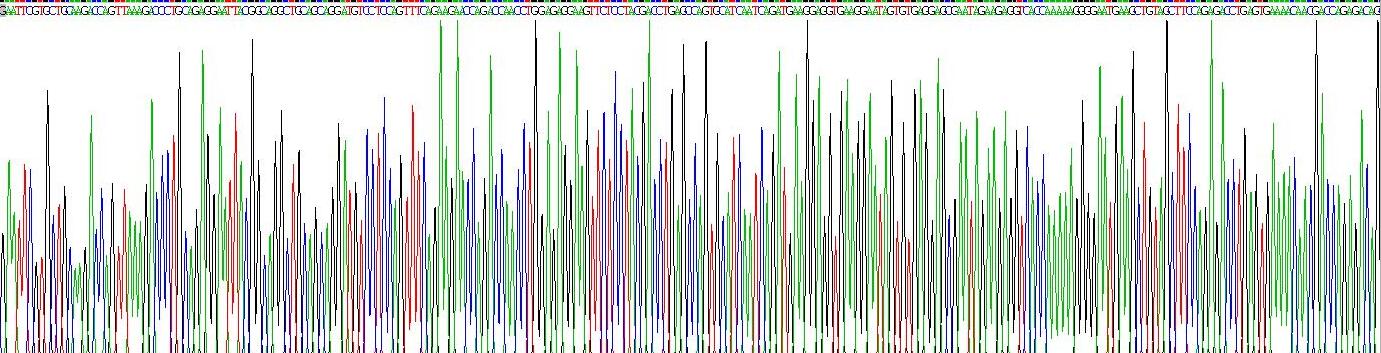 Gene Sequencing (extract)