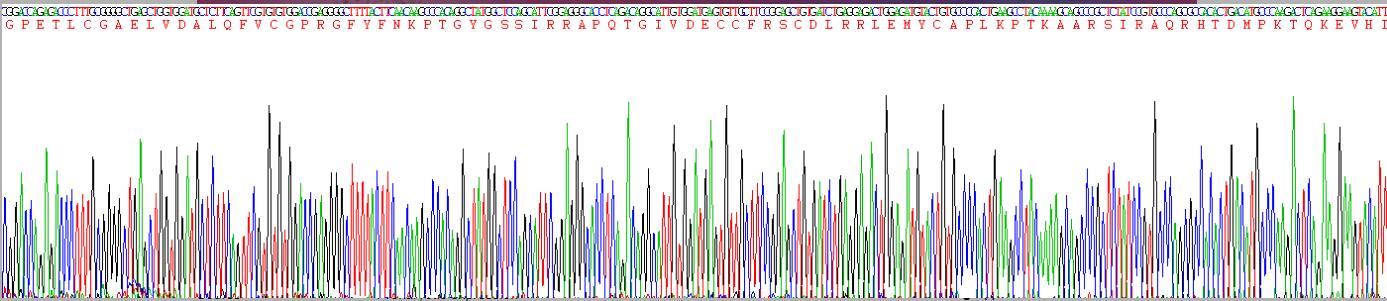 Gene Sequencing (extract)