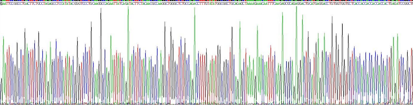 Gene Sequencing (extract)