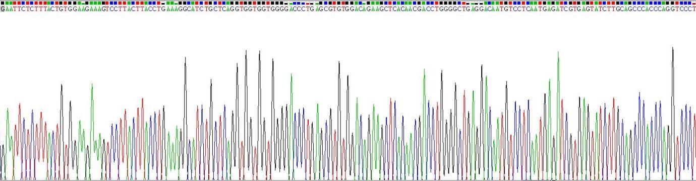 Gene Sequencing (extract)