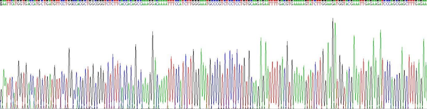 Gene Sequencing (extract)