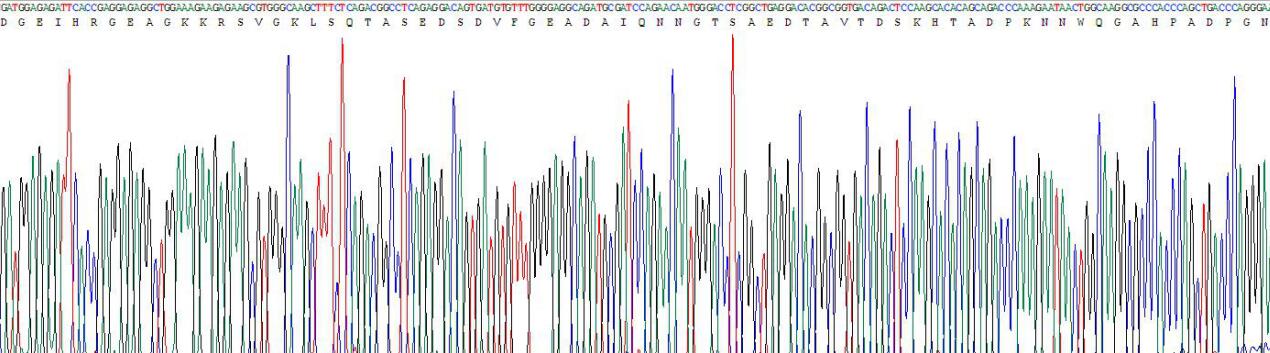Gene Sequencing (extract)