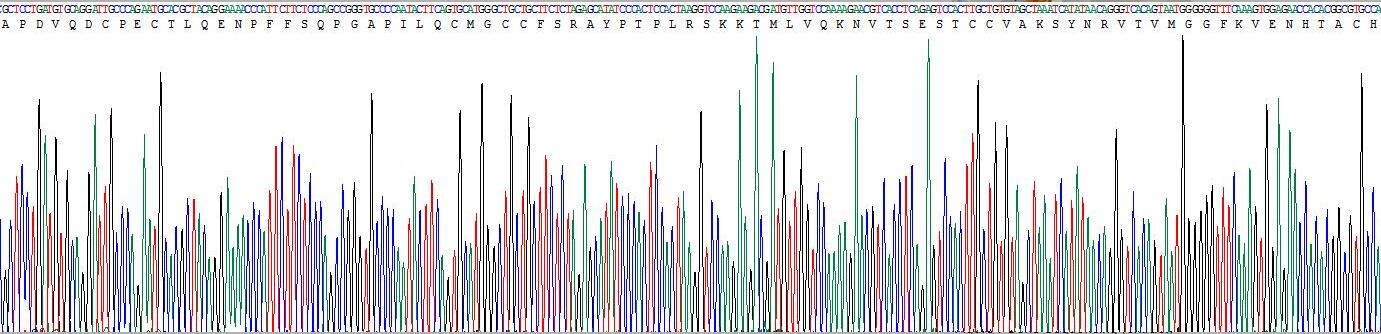 Gene Sequencing (extract)