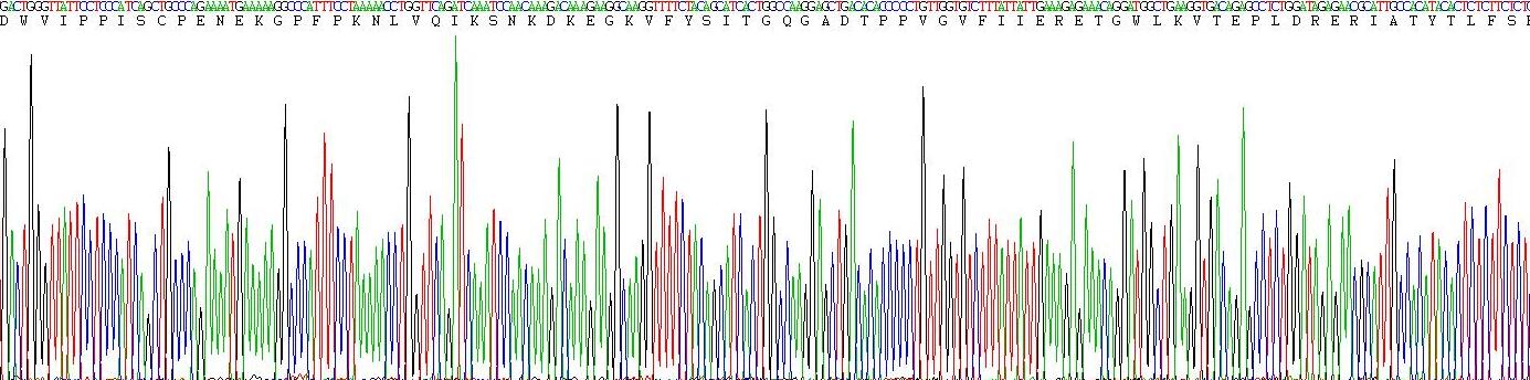 Gene Sequencing (extract)