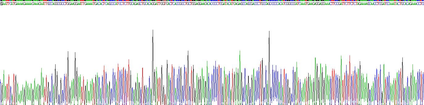 Gene Sequencing (extract)