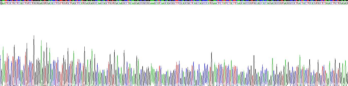 Gene Sequencing (extract)