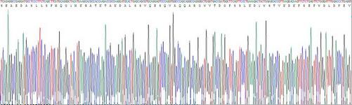 Gene Sequencing (extract)