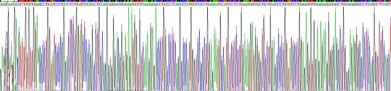 Gene Sequencing (extract)