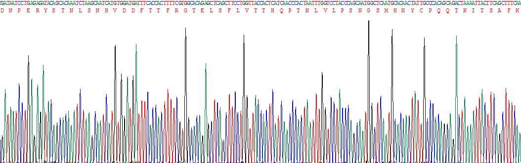 Gene Sequencing (extract)