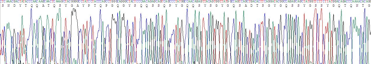 Gene Sequencing (extract)