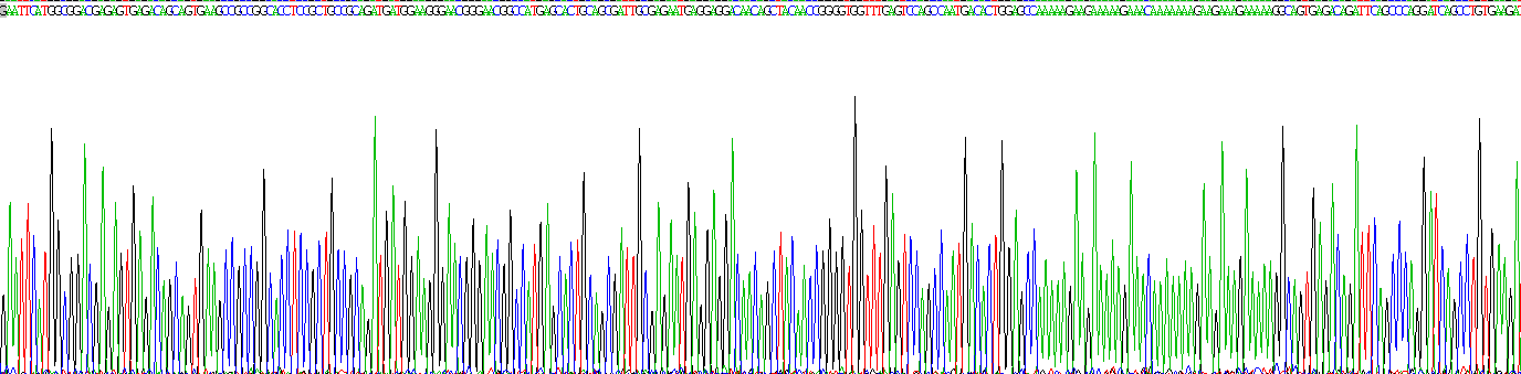 Gene Sequencing (extract)