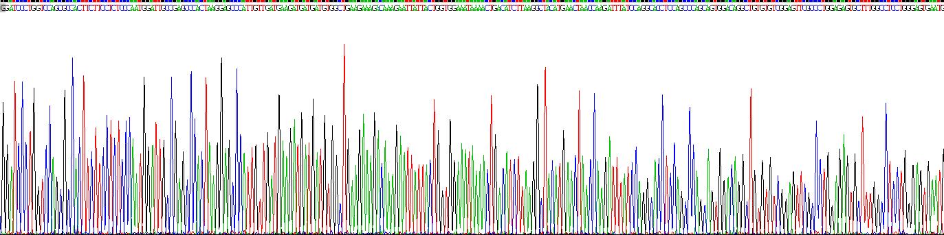 Gene Sequencing (extract)