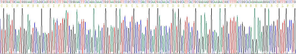 Gene Sequencing (extract)