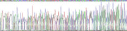 Gene Sequencing (extract)