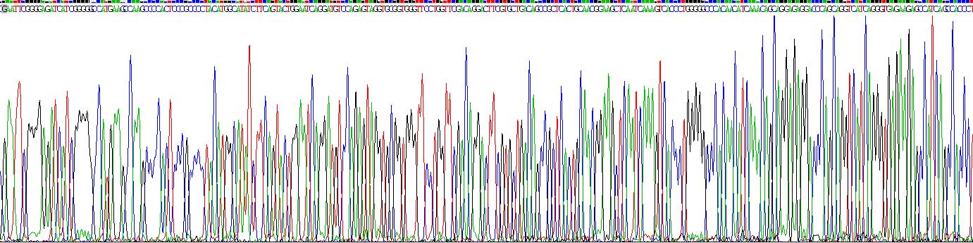 Gene Sequencing (extract)