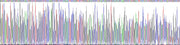 Gene Sequencing (extract)