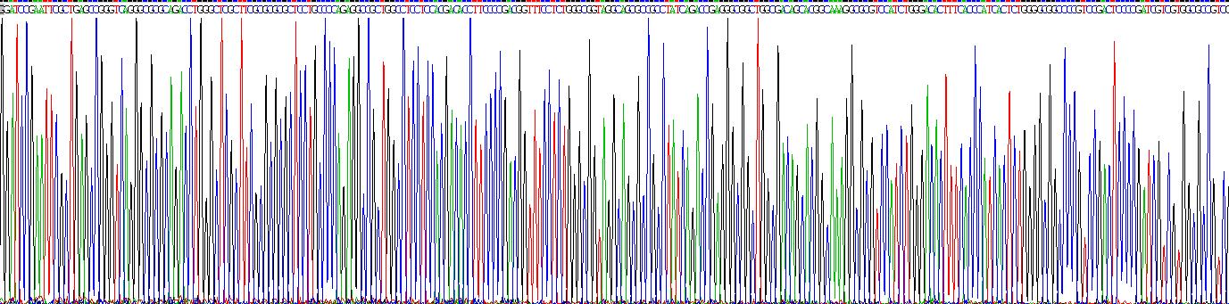 Gene Sequencing (extract)