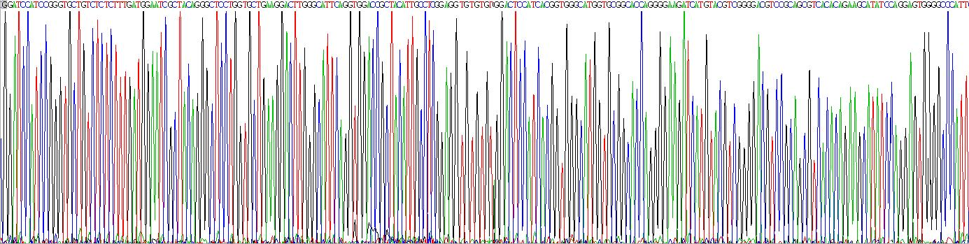 Gene Sequencing (extract)