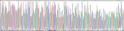 Gene Sequencing (extract)