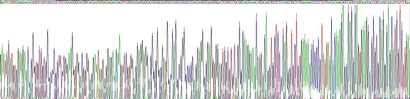 Gene Sequencing (extract)
