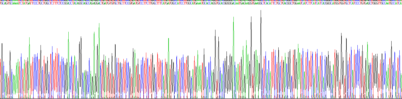 Gene Sequencing (extract)