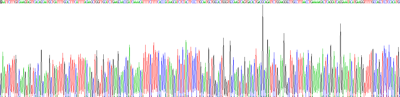 Gene Sequencing (extract)