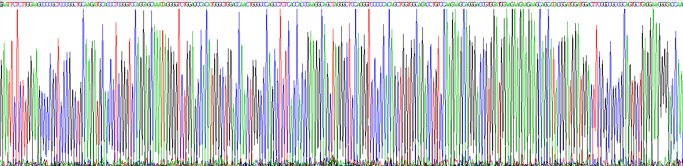 Gene Sequencing (extract)