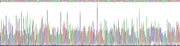 Gene Sequencing (extract)