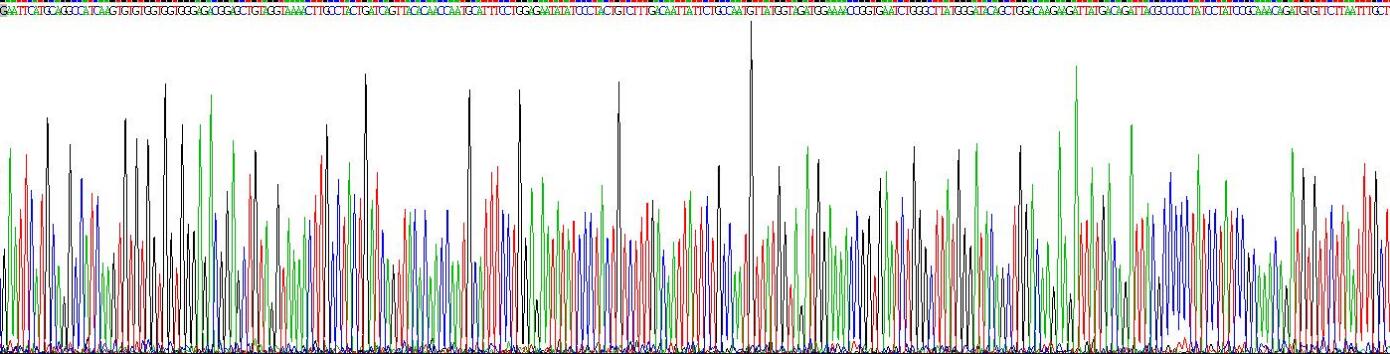 Gene Sequencing (extract)