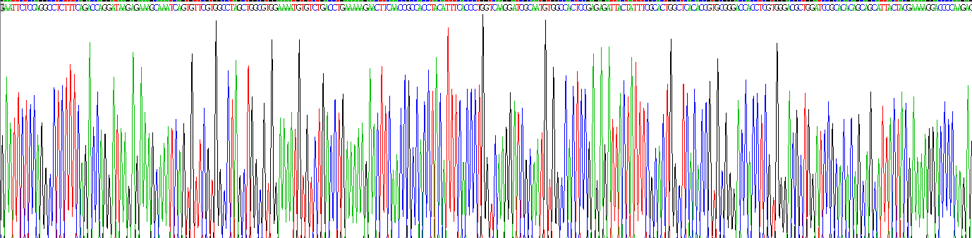 Gene Sequencing (extract)