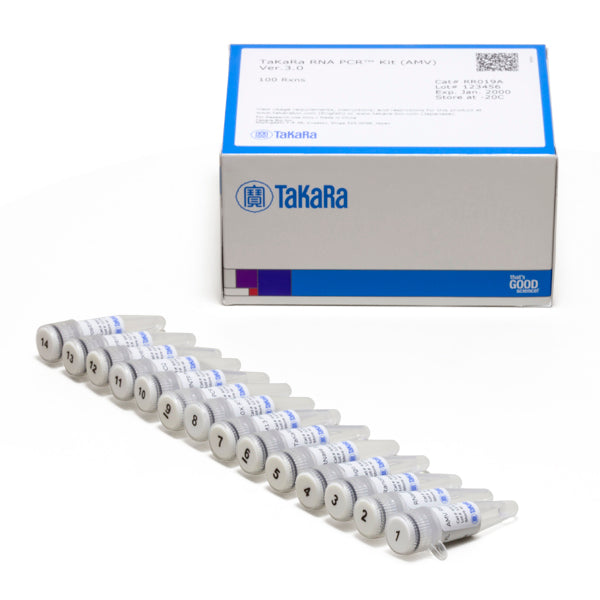 Two-step RT-PCR - mRNA and cDNA synthesis - Takara Bio