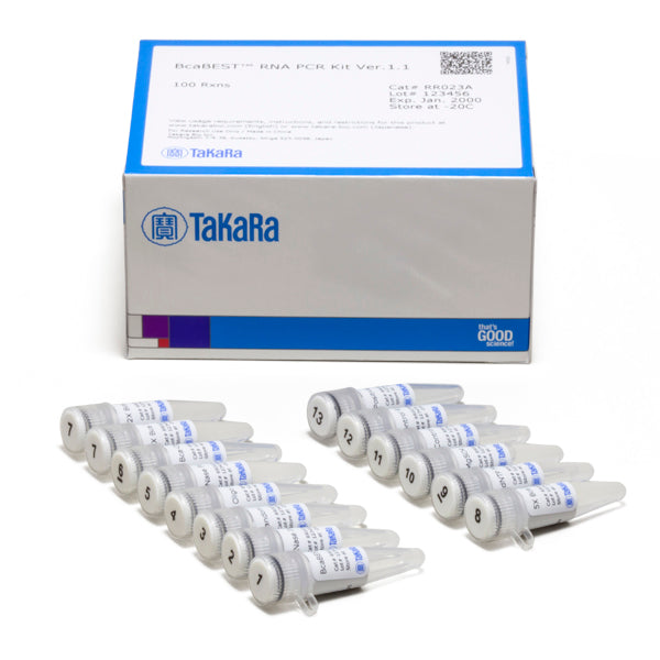 BcaBEST RNA PCR Kit - mRNA and cDNA synthesis - Takara Bio