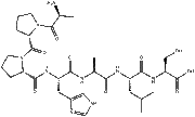 RS 09