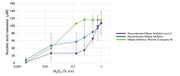 Oxidation-resistant recombinant RNase inhibitor - mRNA and cDNA synthesis - Takara Bio