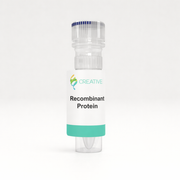Active Pyranose Oxidase