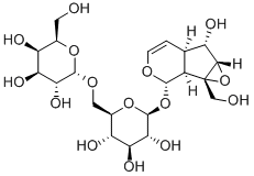 Rehmannioside A
