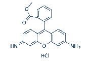 Rhodamine 123
