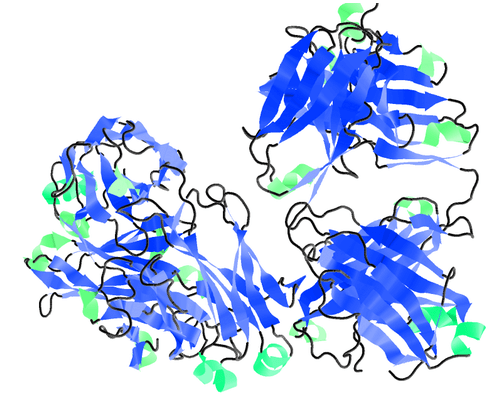 Rituximab