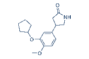 Rolipram chemical structure
