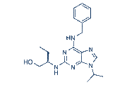 Roscovitine chemical structure